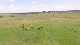 5165 County Road 2013 Glen Rose TX 76043