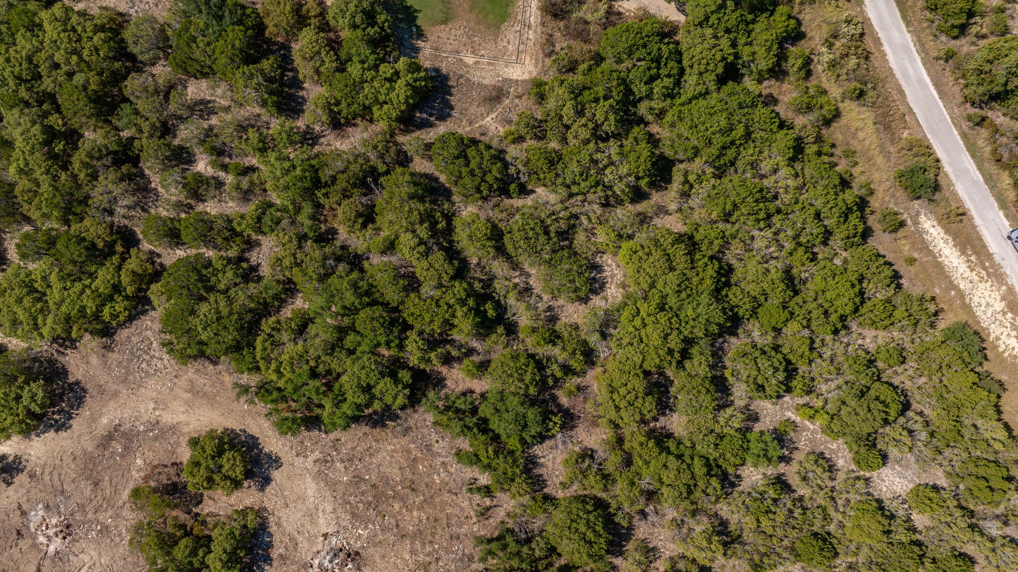 3035 Beacon Lake Drive Bluff Dale TX 76433