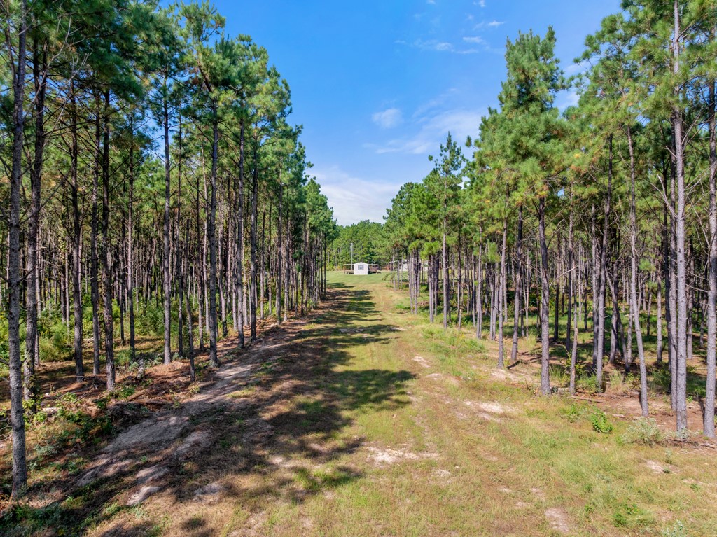 5379 Cr 385 Tyler TX 75708