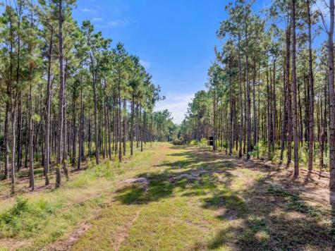 5379 Cr 385 Tyler TX 75708