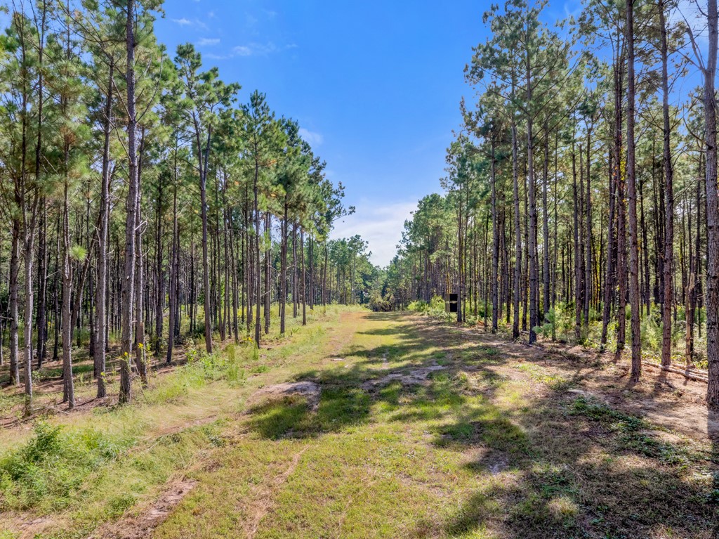 5379 Cr 385 Tyler TX 75708