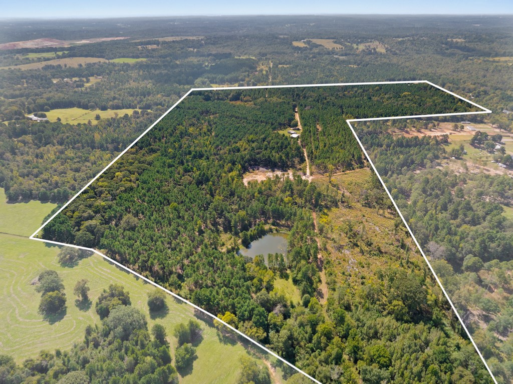 5379 Cr 385 Tyler TX 75708