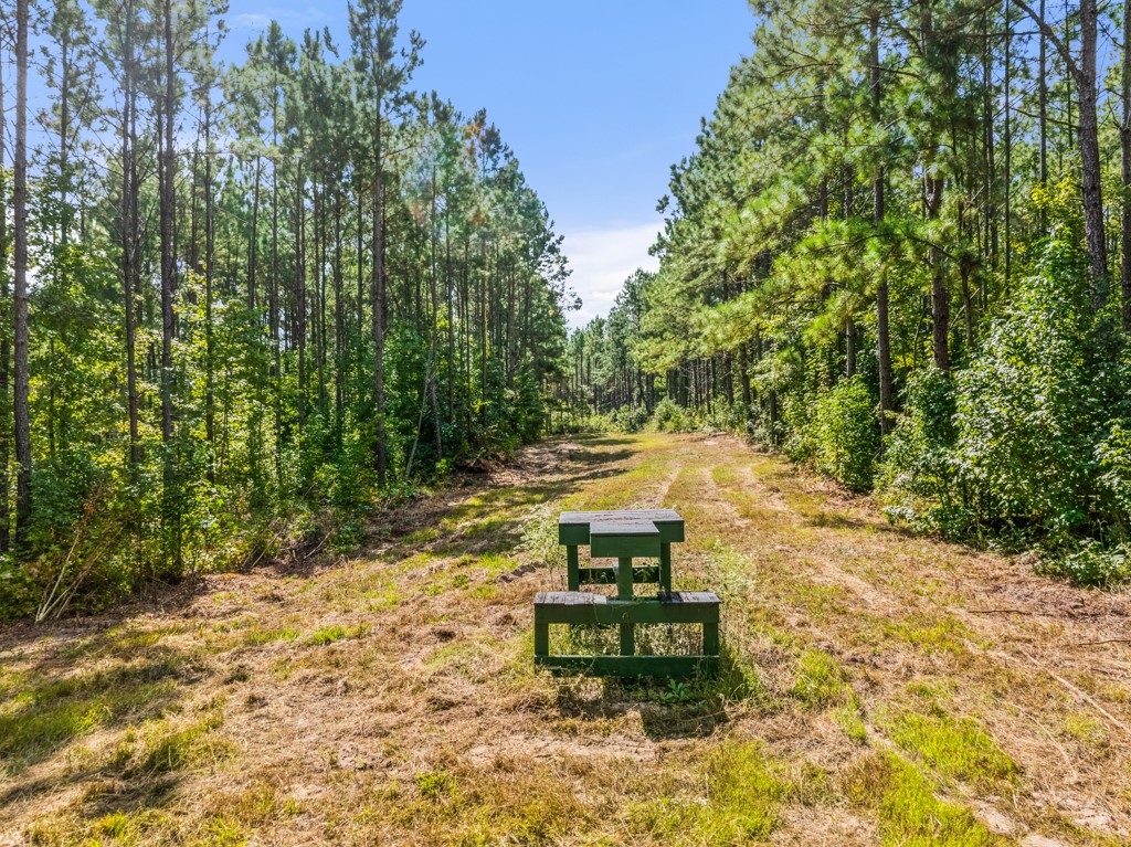 5379 Cr 385 Tyler TX 75708