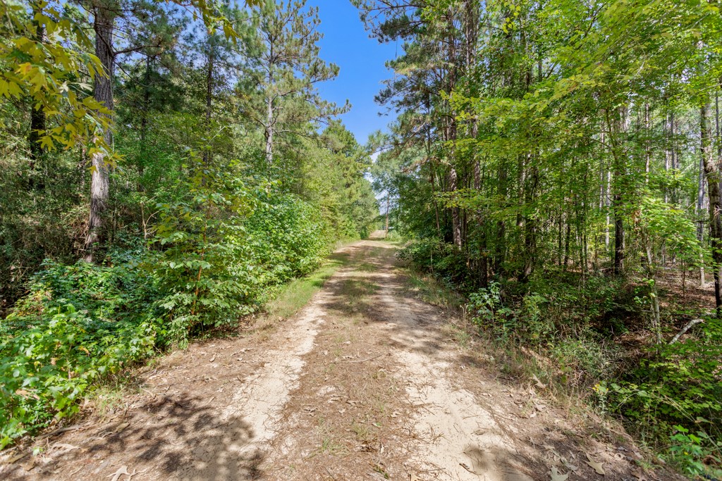 5379 Cr 385 Tyler TX 75708