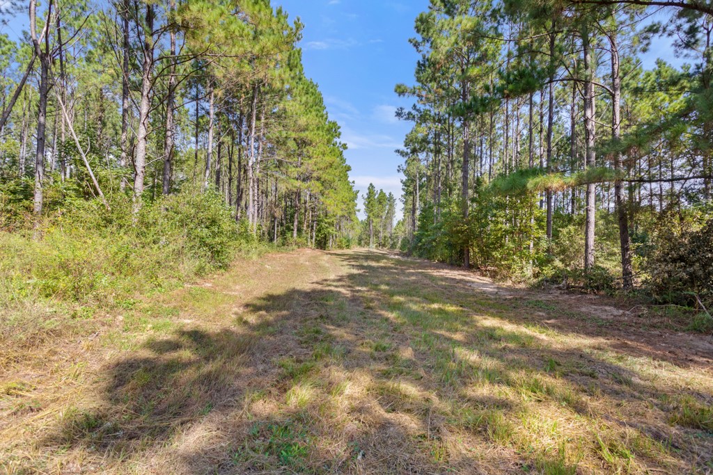 5379 Cr 385 Tyler TX 75708