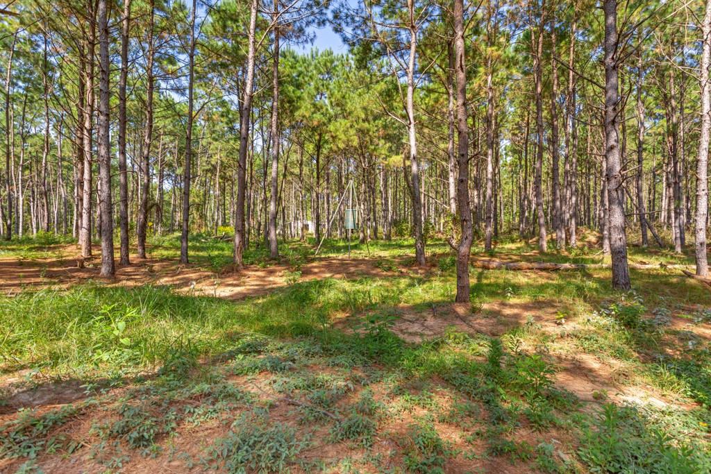 5379 Cr 385 Tyler TX 75708