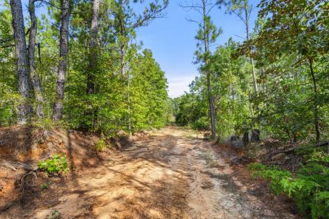 5379 Cr 385 Tyler TX 75708