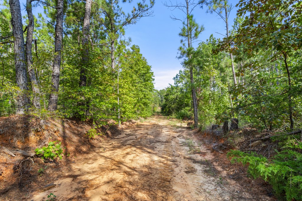 5379 Cr 385 Tyler TX 75708