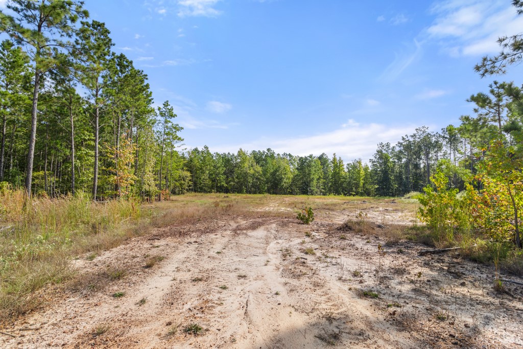 5379 Cr 385 Tyler TX 75708