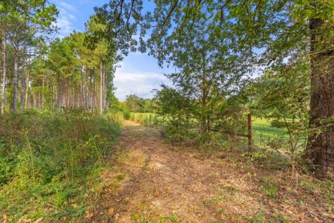 5379 Cr 385 Tyler TX 75708