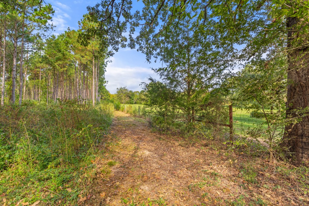 5379 Cr 385 Tyler TX 75708