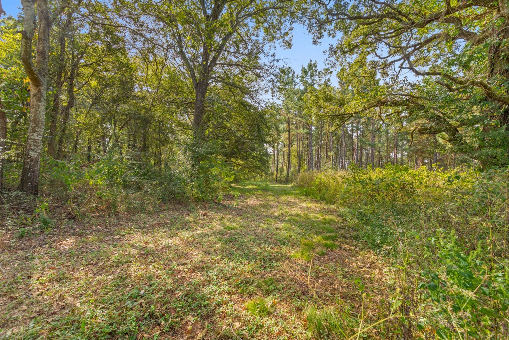 5379 Cr 385 Tyler TX 75708