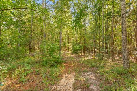 5379 Cr 385 Tyler TX 75708