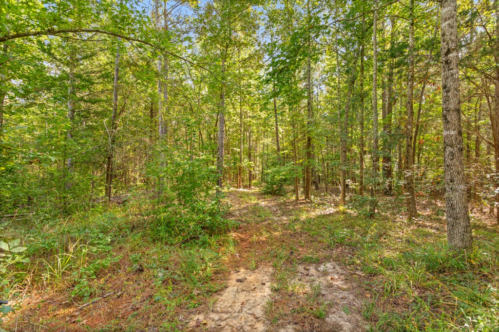 5379 Cr 385 Tyler TX 75708