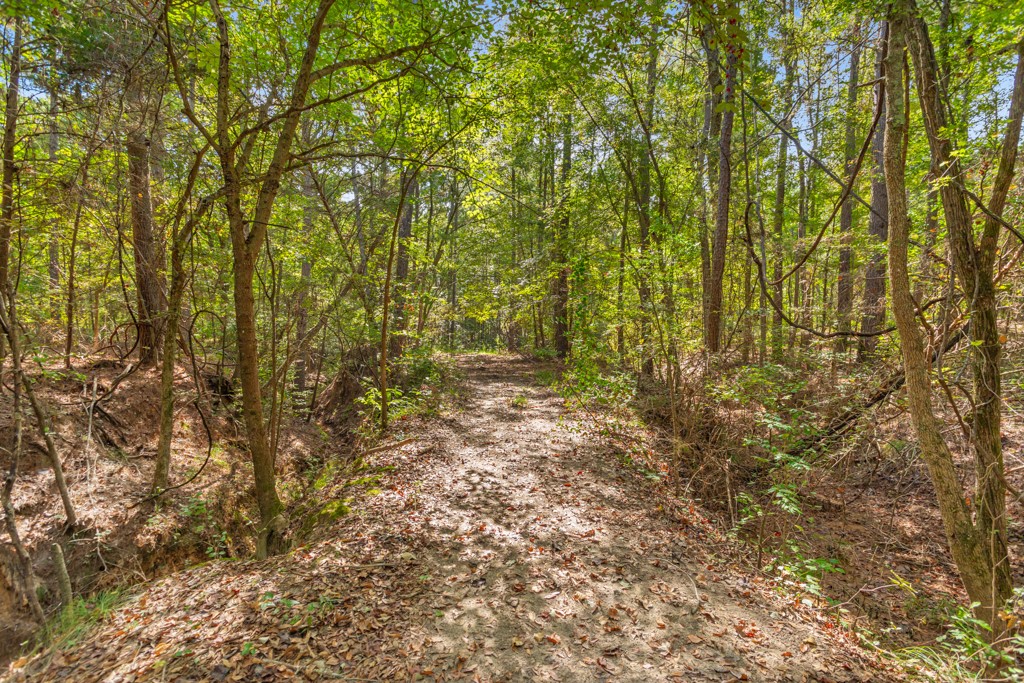 5379 Cr 385 Tyler TX 75708
