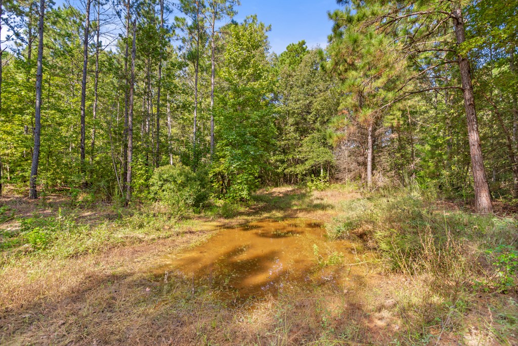 5379 Cr 385 Tyler TX 75708