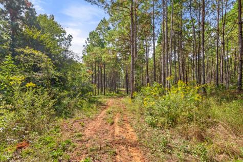 5379 Cr 385 Tyler TX 75708