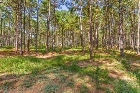 5379 Cr 385 Tyler TX 75708