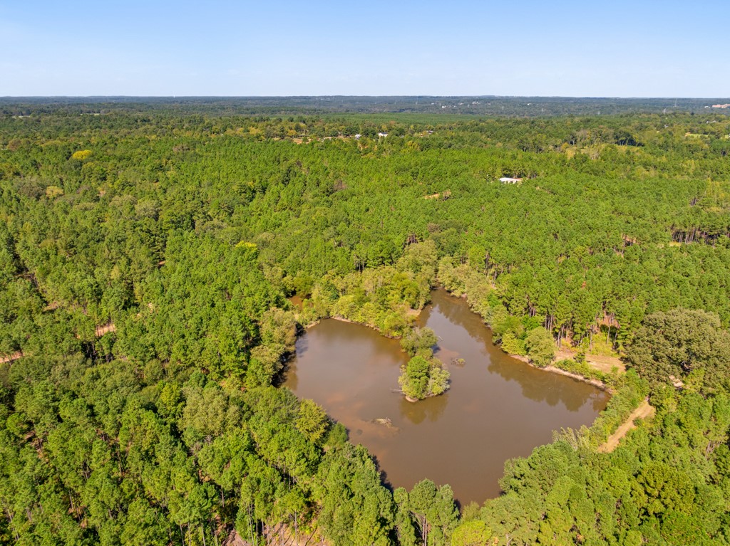 5379 Cr 385 Tyler TX 75708