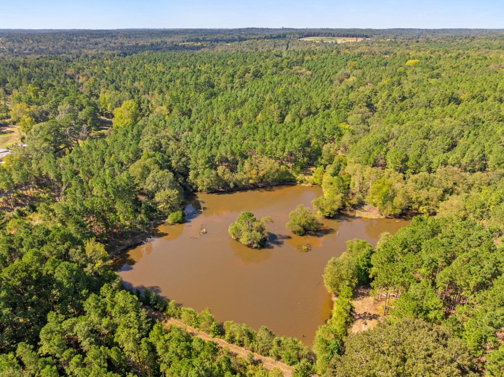 5379 Cr 385 Tyler TX 75708