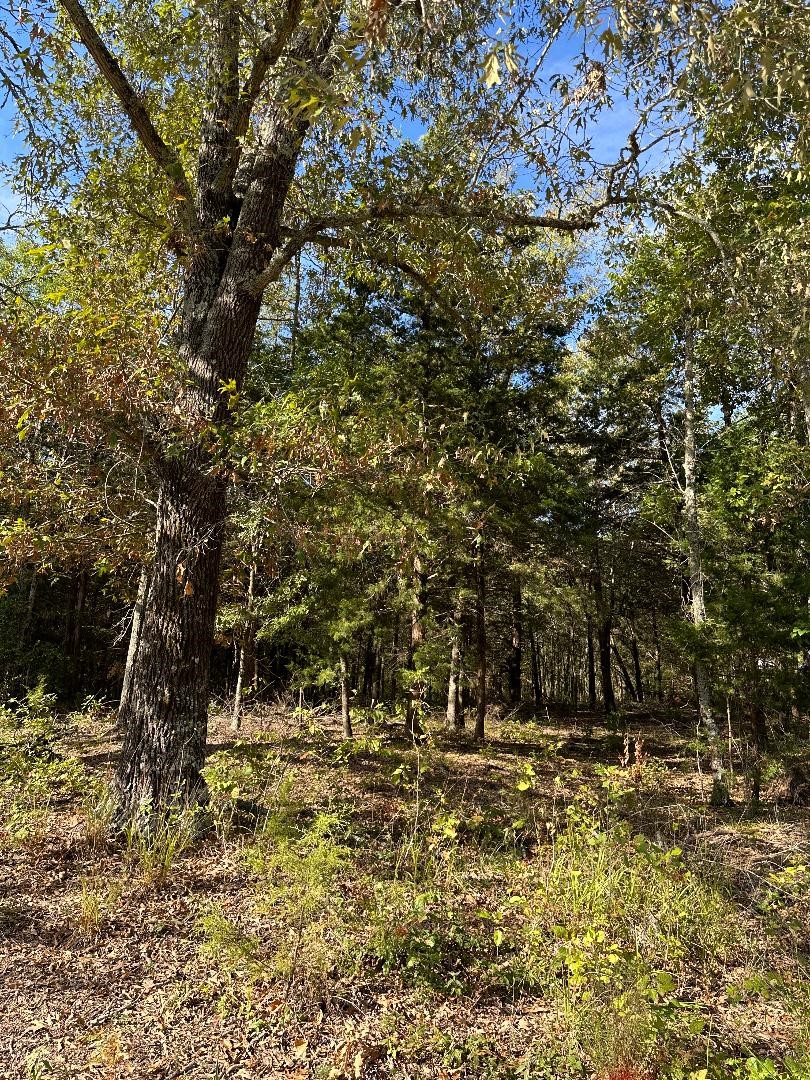 234 Private Road 34615 Sumner TX 75486