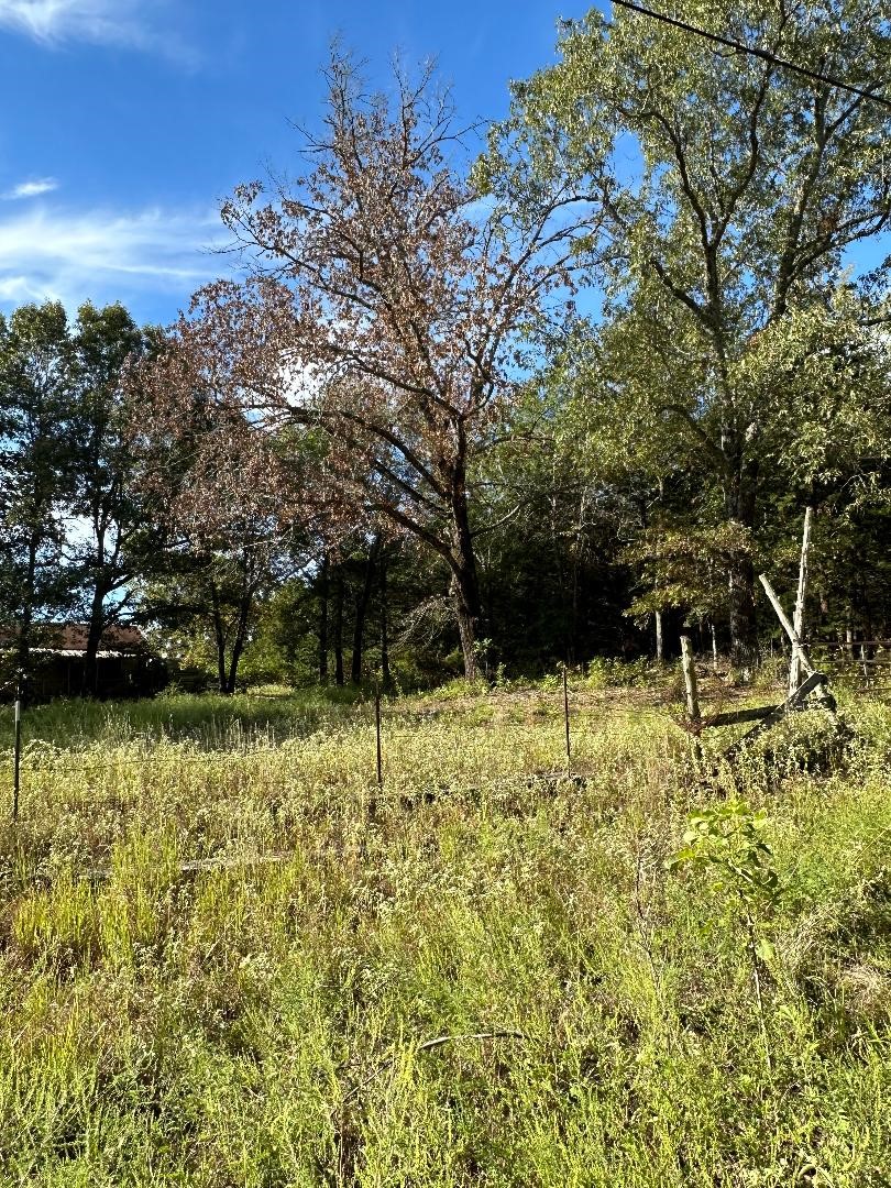 234 Private Road 34615 Sumner TX 75486