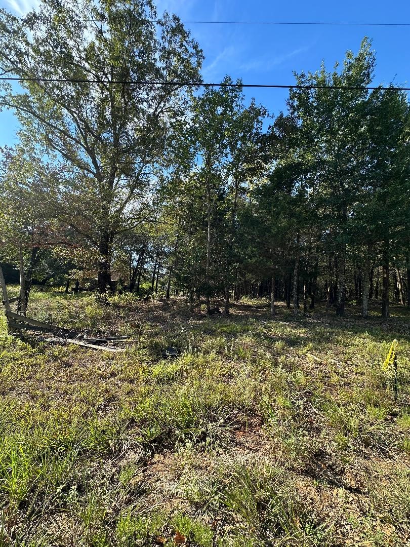 234 Private Road 34615 Sumner TX 75486