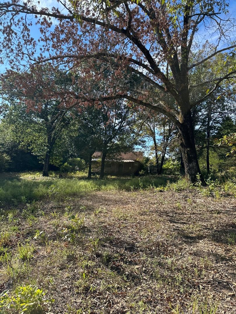 234 Private Road 34615 Sumner TX 75486