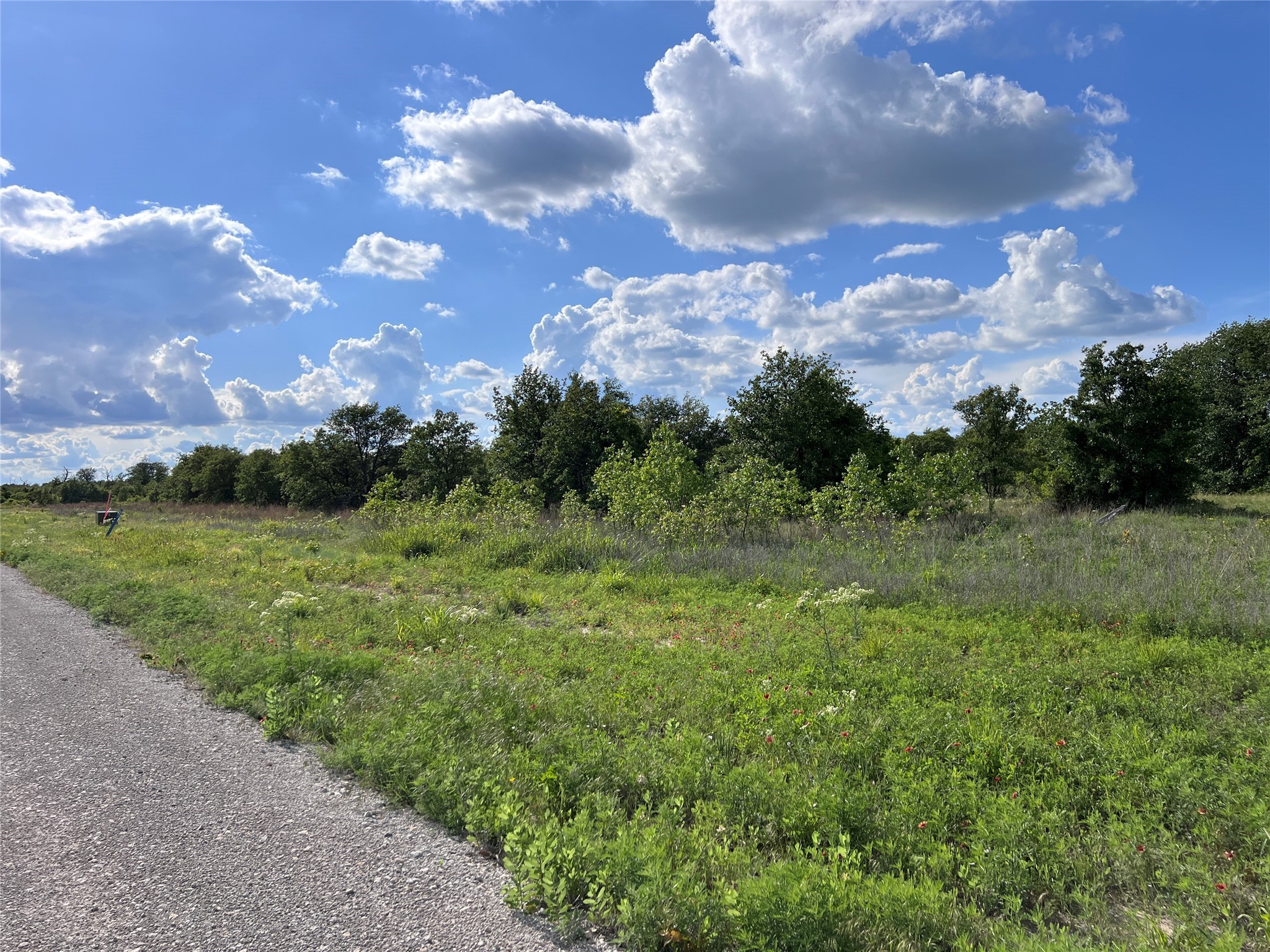 Tbd Lot 22 Live Oak Trail Clyde TX 79510