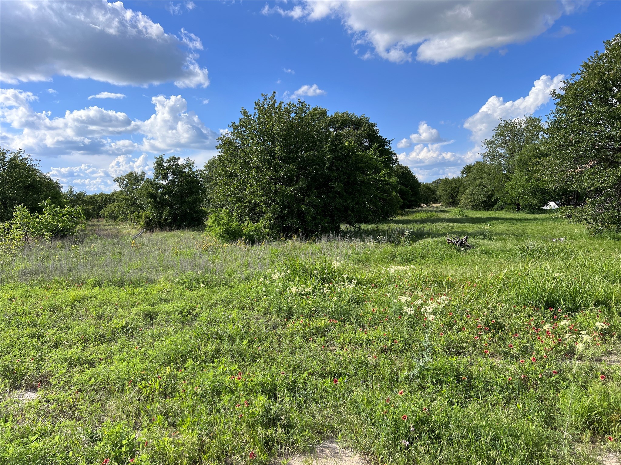 Tbd Lot 22 Live Oak Trail Clyde TX 79510