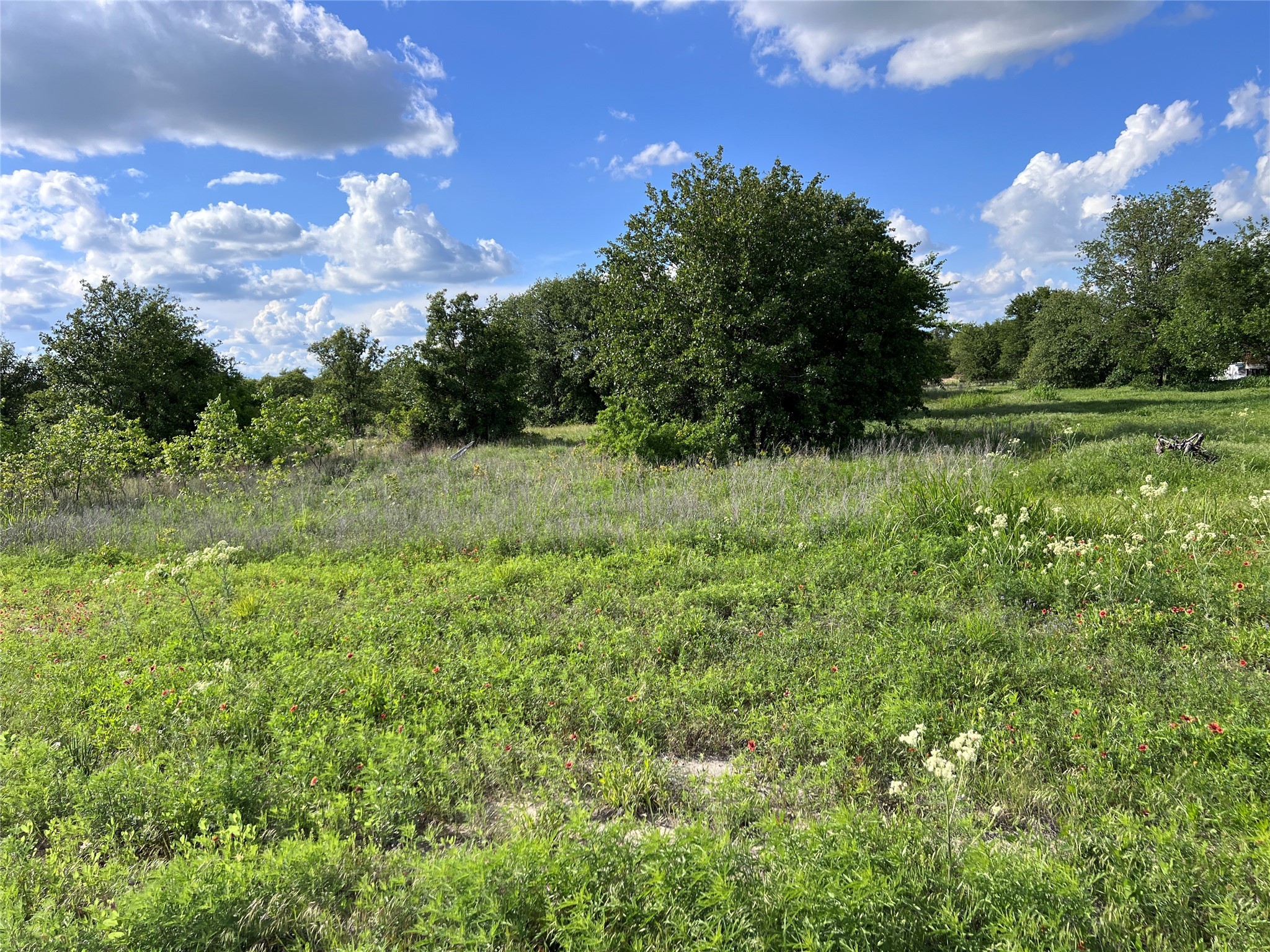 Tbd Lot 22 Live Oak Trail Clyde TX 79510