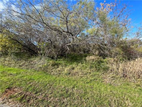 23030 Westmeadow Drive Whitney TX 76692
