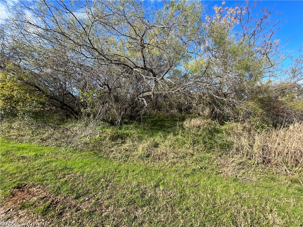 23030 Westmeadow Drive Whitney TX 76692