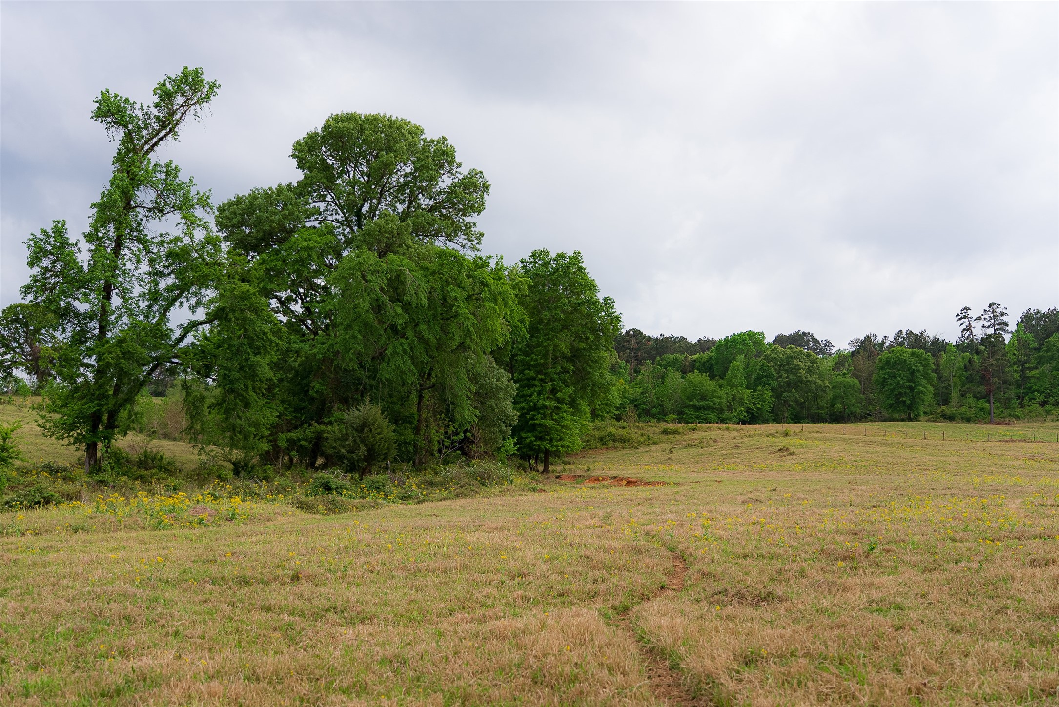0 Cr 1615 Jacksonville TX 75766