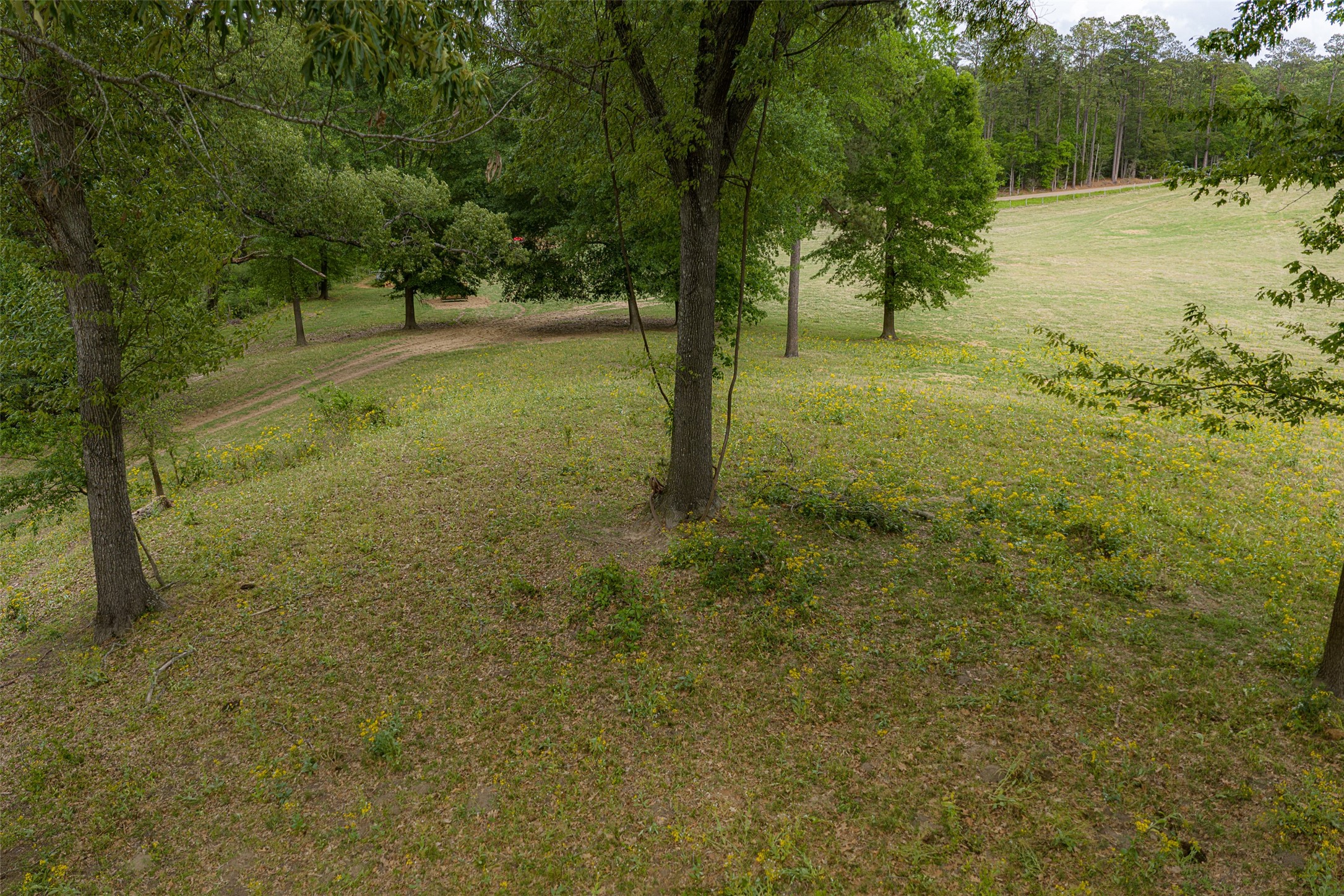 0 Cr 1615 Jacksonville TX 75766