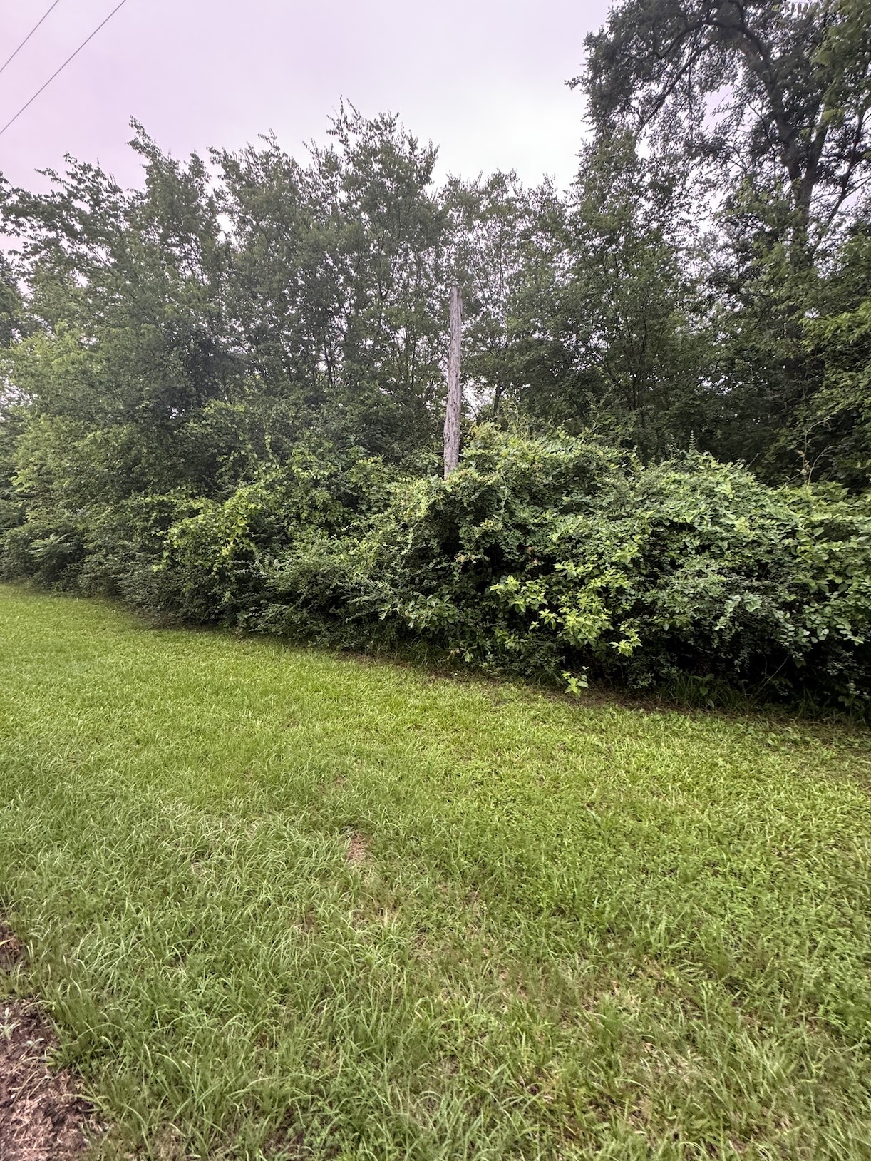 Tbd 0 Private Road 4326 Mt Pleasant TX 75455