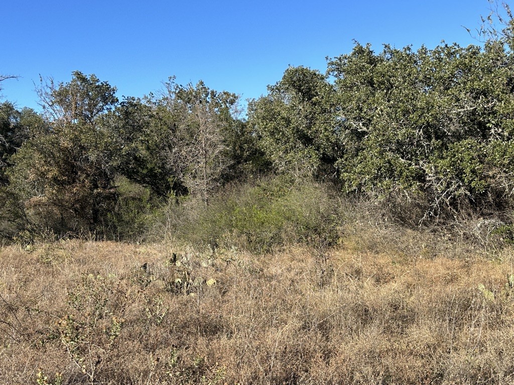 2714 County Road 147 Brownwood TX 76801