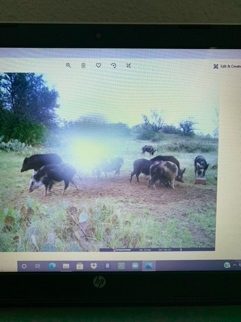 2714 County Road 147 Brownwood TX 76801