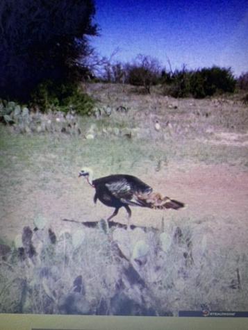 2714 County Road 147 Brownwood TX 76801