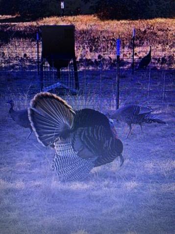2714 County Road 147 Brownwood TX 76801