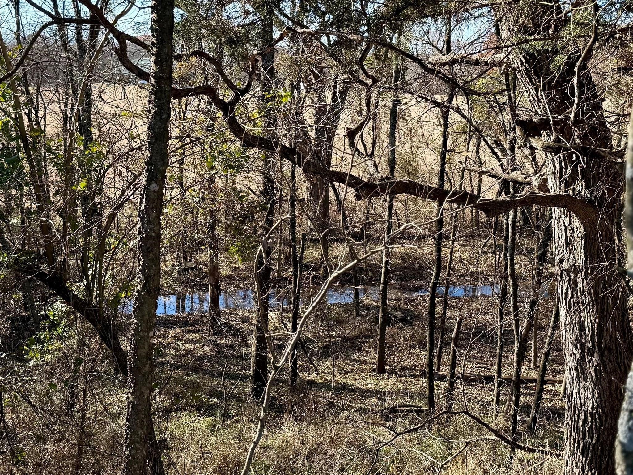 Lot 4 Tbd Hidden Valley Road Valley View TX 76272