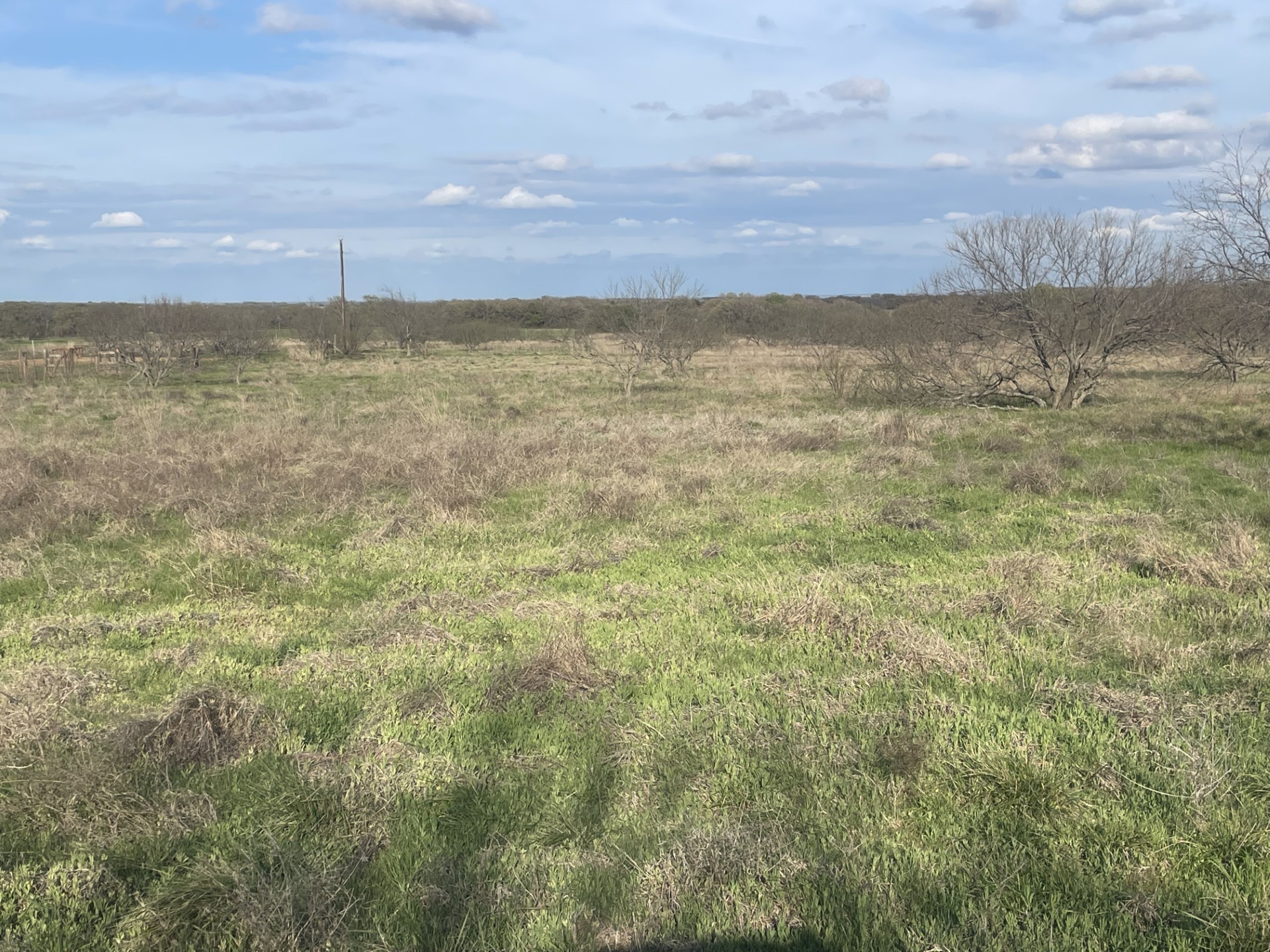 1594 County Road 1886 Sunset TX 76270