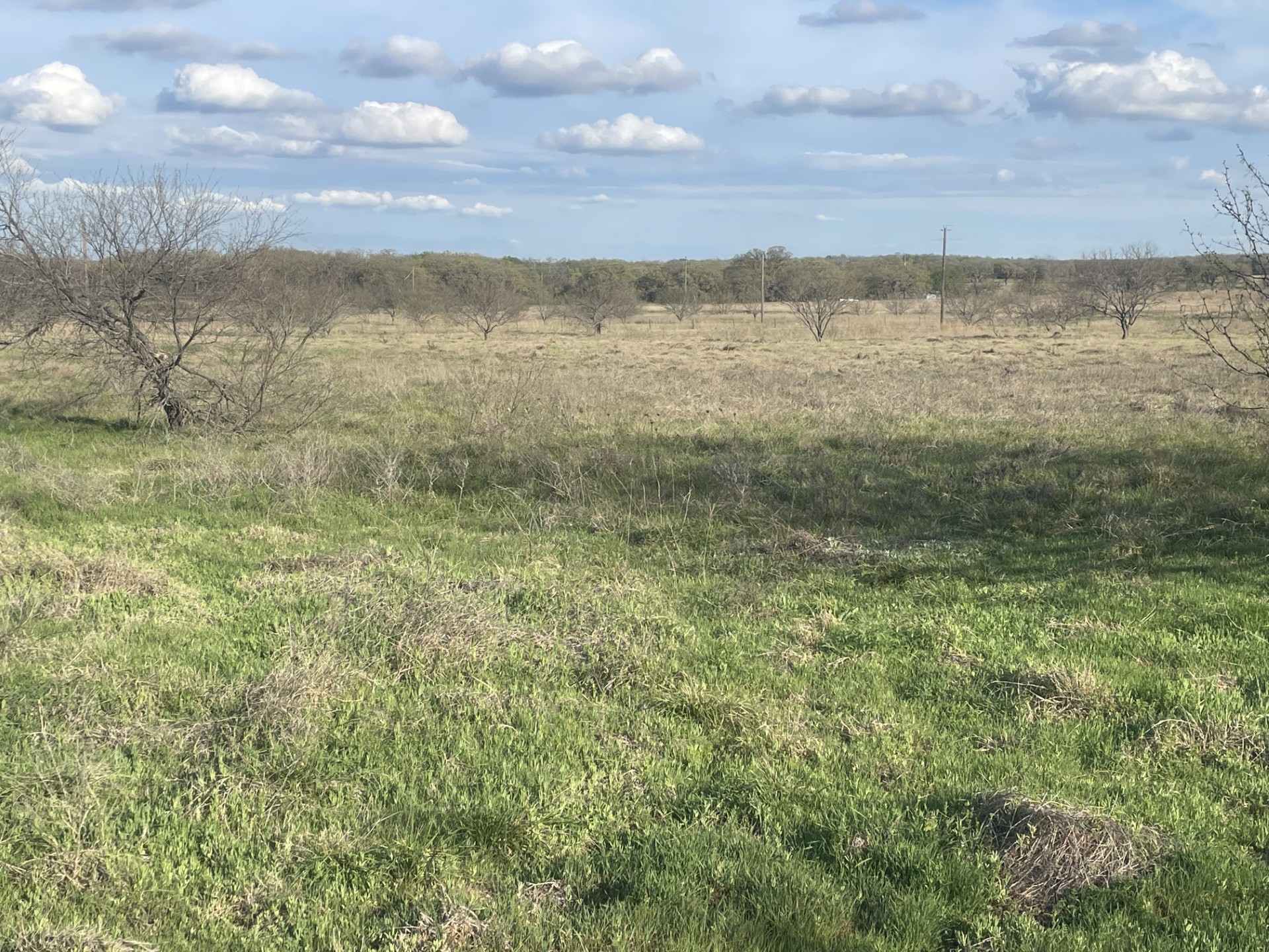 1594 County Road 1886 Sunset TX 76270
