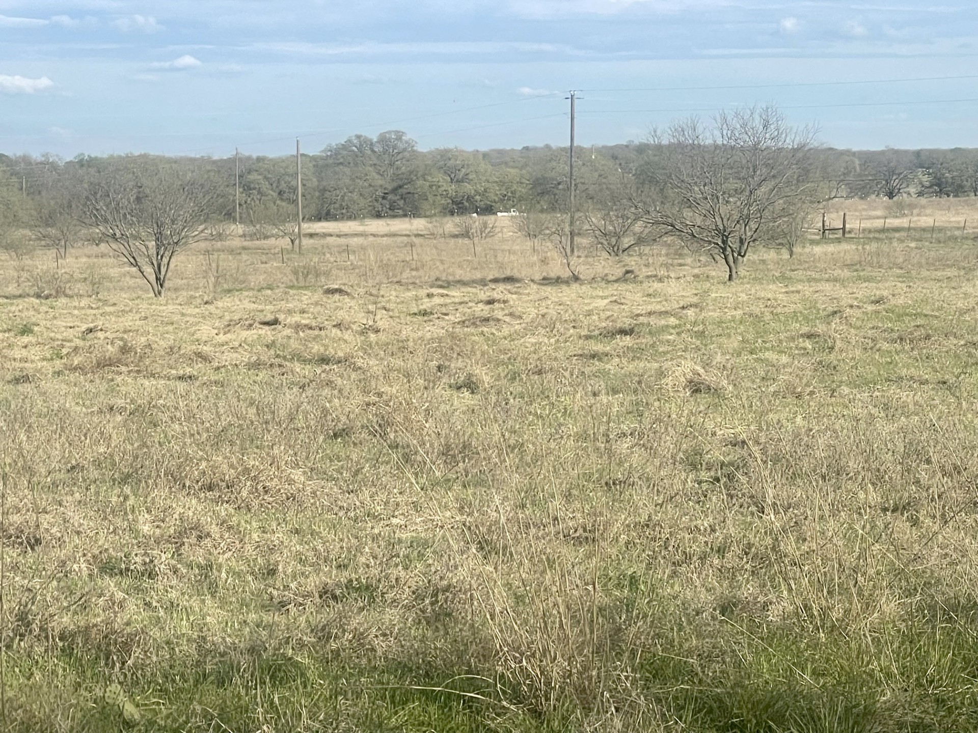 1594 County Road 1886 Sunset TX 76270