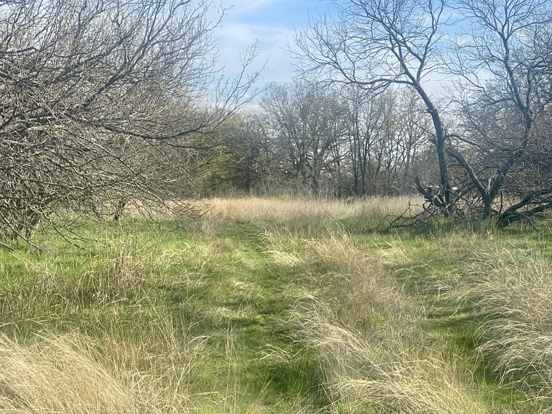 1594 County Road 1886 Sunset TX 76270
