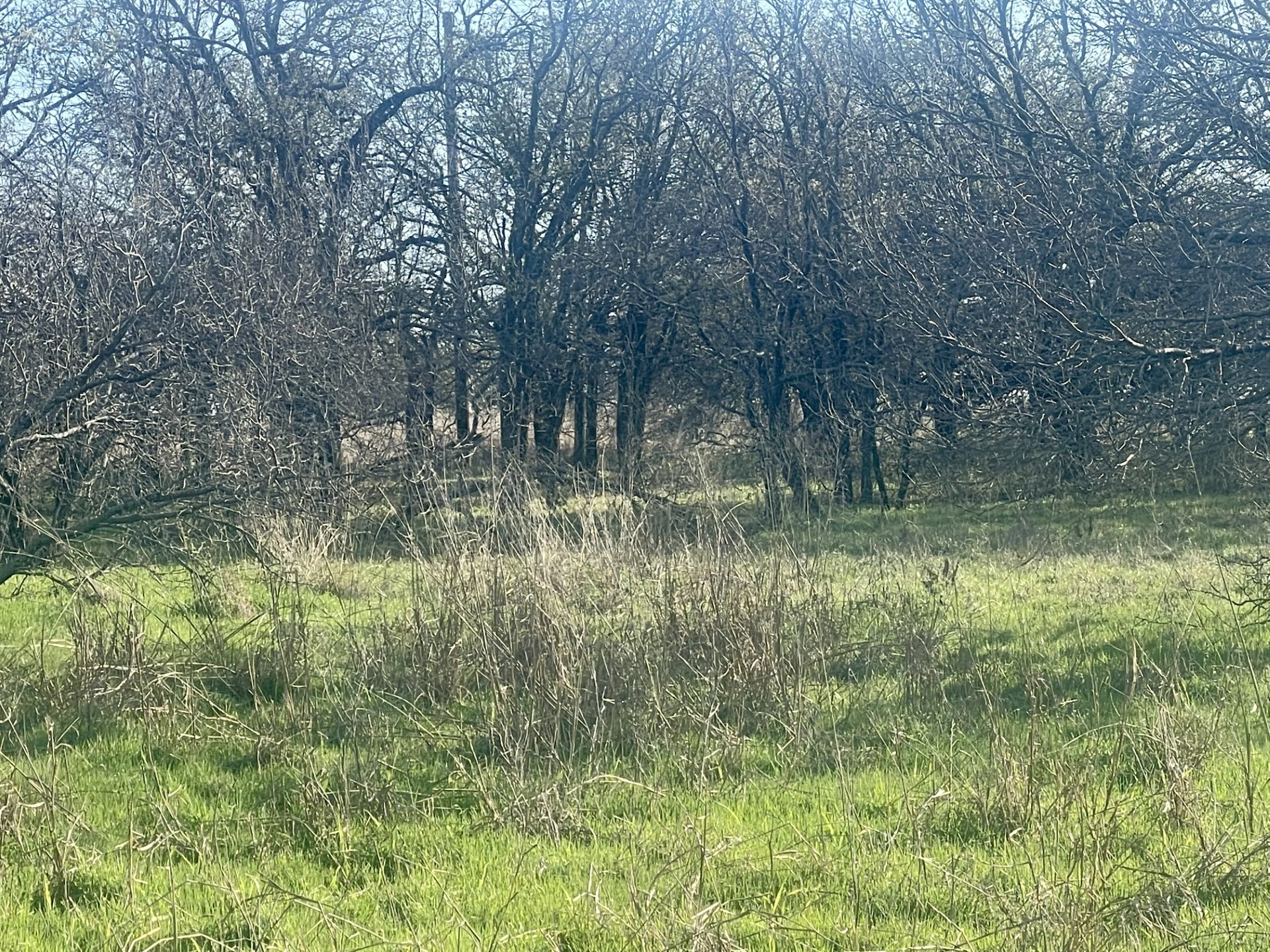 1594 County Road 1886 Sunset TX 76270
