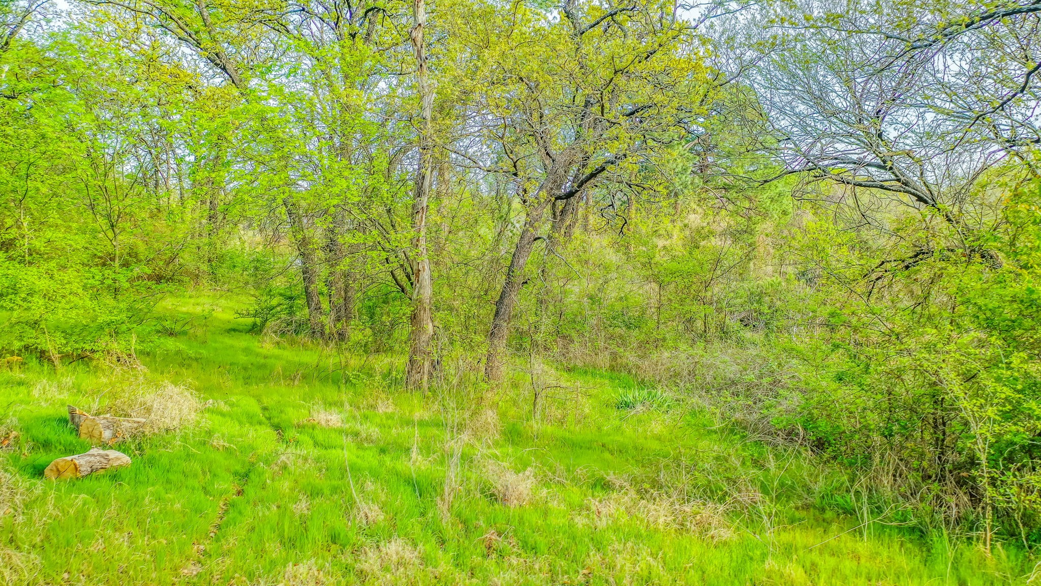 3 Elkhorn Drive Arlington TX 76016