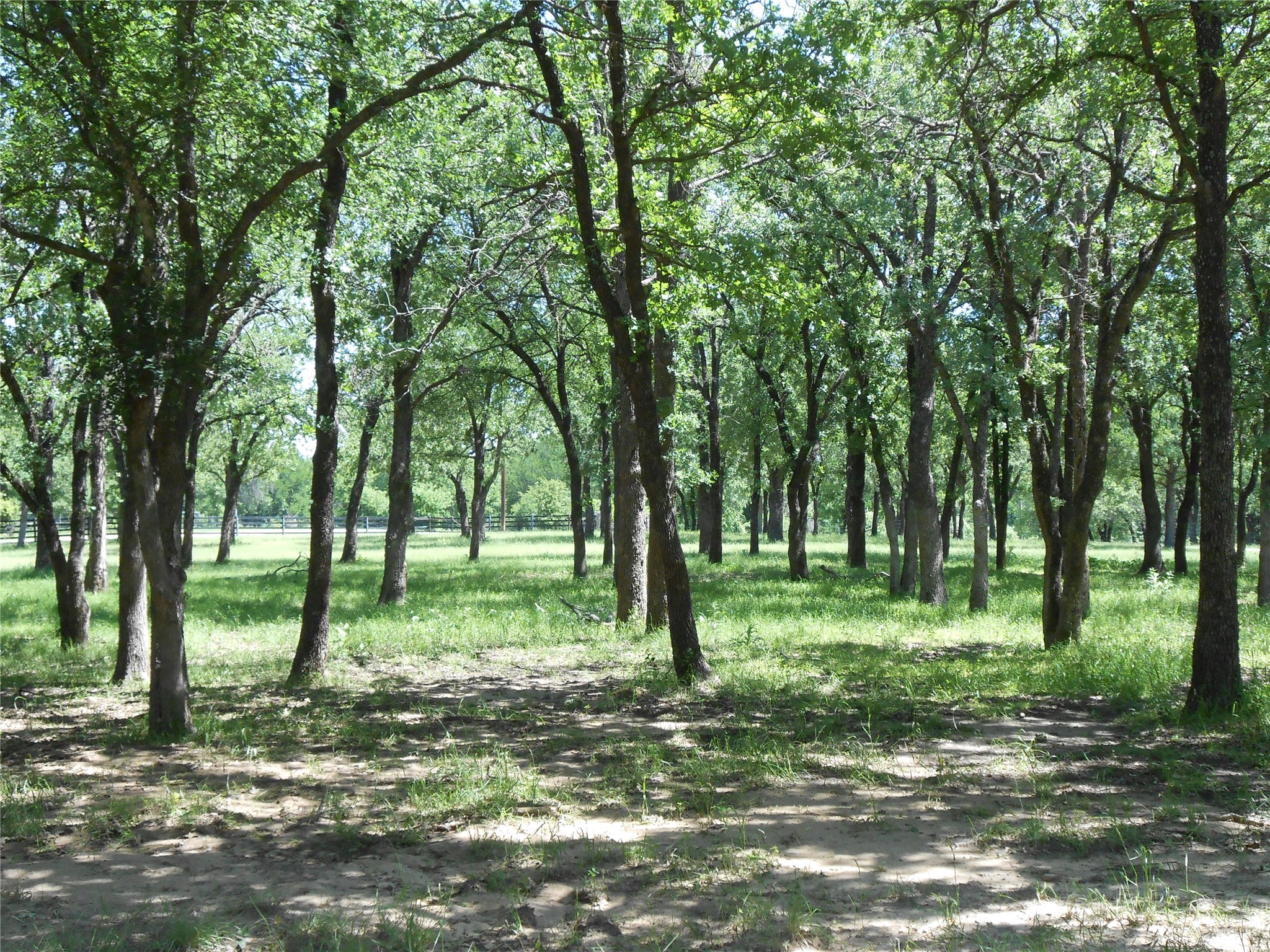 Tbd Fm-1655 Bridgeport TX 76426