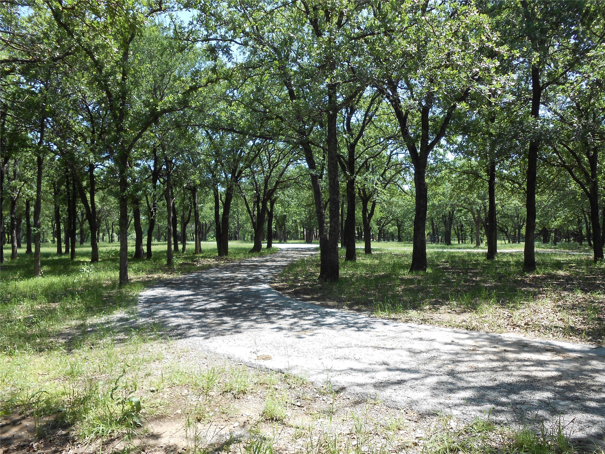Tbd Fm-1655 Bridgeport TX 76426