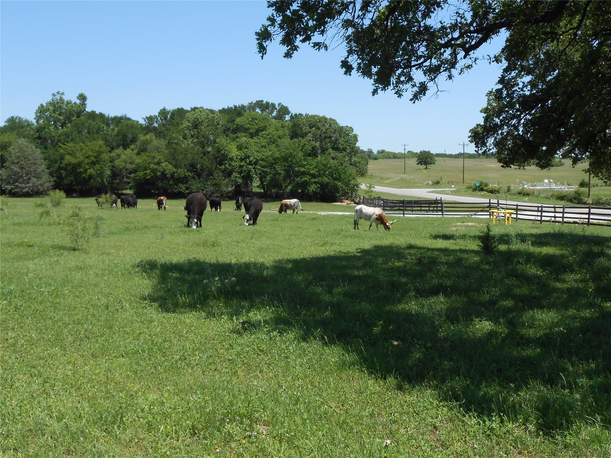 Tbd Fm-1655 Bridgeport TX 76426